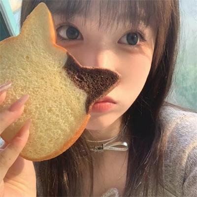 双子座计划